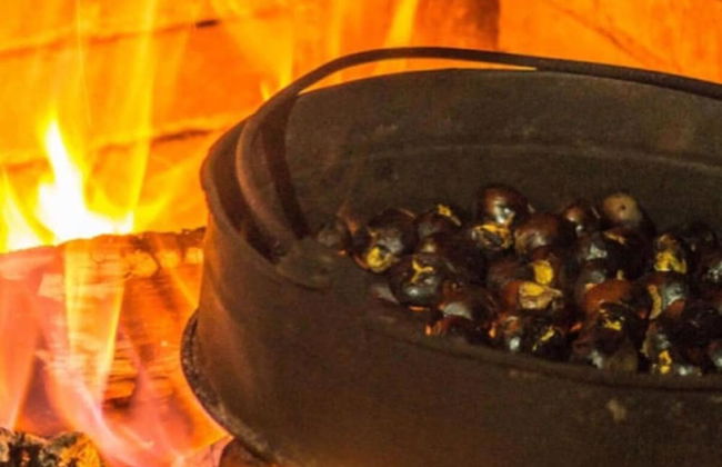 Casa Rural Quina - Photo 9