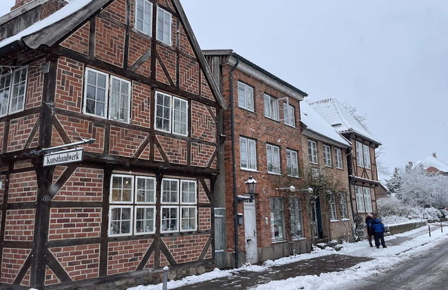 Flat in Eutin on the Kleiner Eutiner See Lake - Photo 44