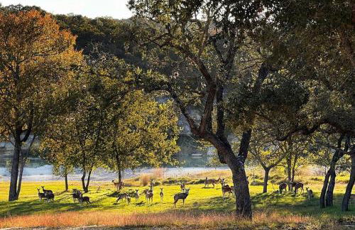 Charming Riverfront Home - Casa Topo @ SparrowBend - Foto 43