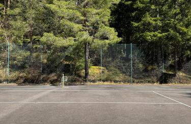 Black Forest Vista - Pool Sauna Tennis - Foto 51