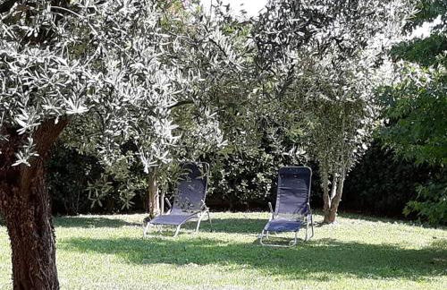 Al numero61 - Foto 17