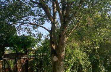 The Hideaway at Duffryn Mawr Self Catering Cottages - Photo 7