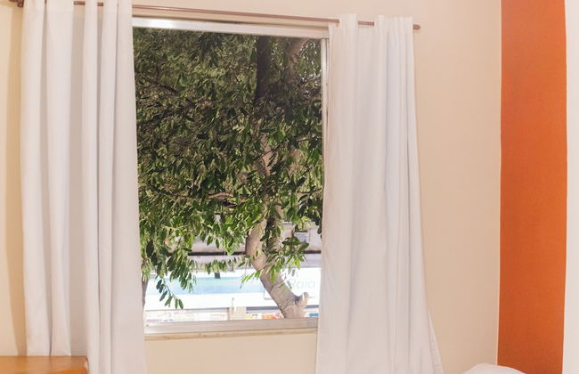 360 Copa Barata Ribeiro By SUHCasa - Photo 32