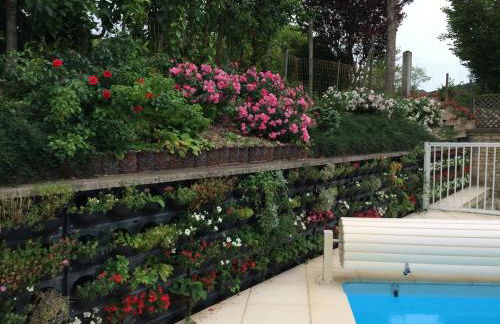 Le gite du petit ecureuil - Foto 12