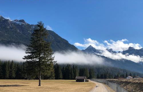 Ferienwohnungen Am Kranzbach FeWo1 - Foto 31