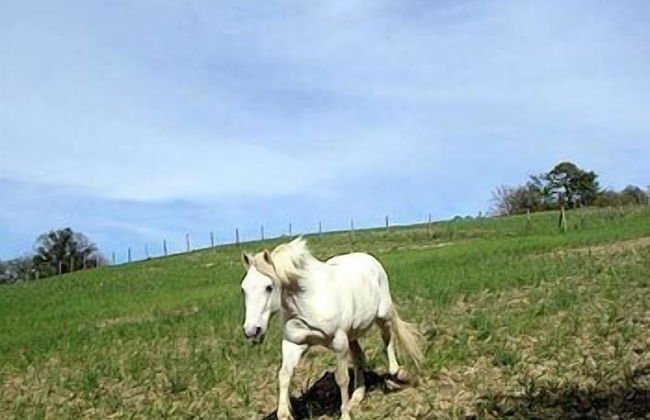 La Tavola dei Cavalieri - Foto 53