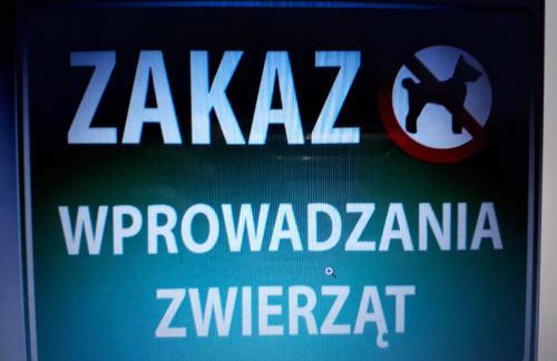 Głogów przy Grodzkiej - Foto 17