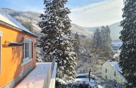 Waldhaus zum gechillten Hirsch in der Natur, bei der Moseltherme Traben-Trarbach - Foto 38