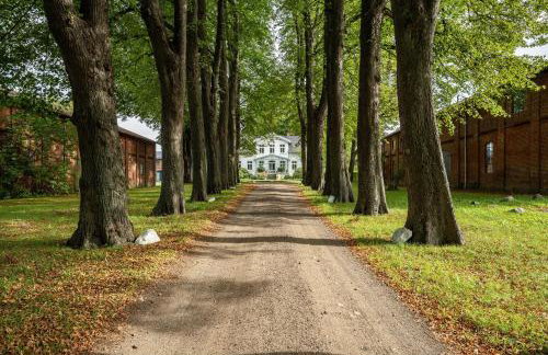 Wohnung 1 Terrassenwohnung - Photo 21
