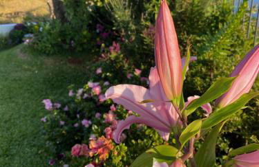 Casa de Prazeres - Foto 77