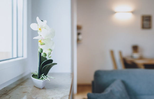 Spa Chalet Lodges by we rent - Photo 5