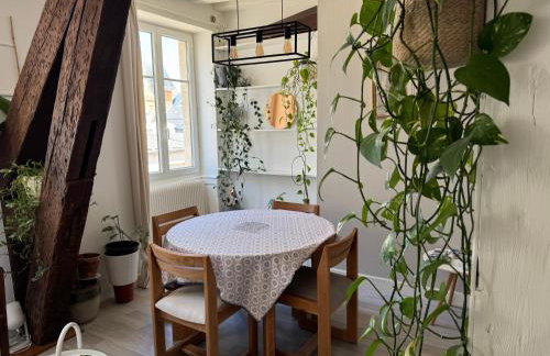 Appartement central - ORLEANS - Foto 3