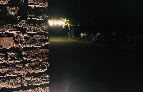 Az. Agr. Parco dei Buoi - Foto 18