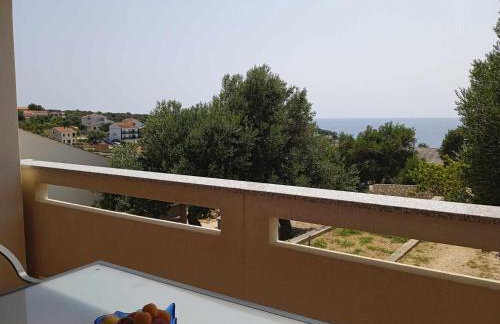 Apartmani Vesna - Foto 58