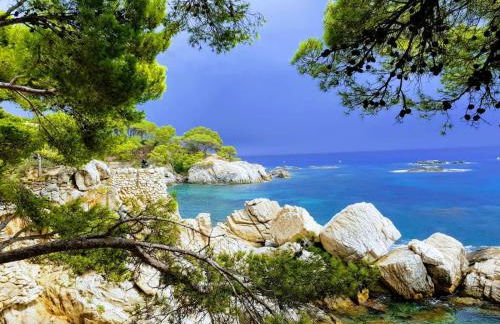 villa aranda - Photo 77