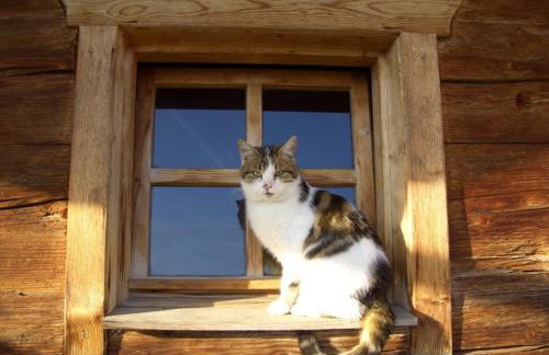 Huberbauernhof Ferienwohnungen - Foto 13