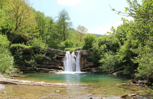 Porcaticcio - Foto 30