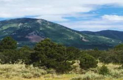 Farm House Cabin, Patio, TV Room, Games, BBQ, Campfire - Foto 19