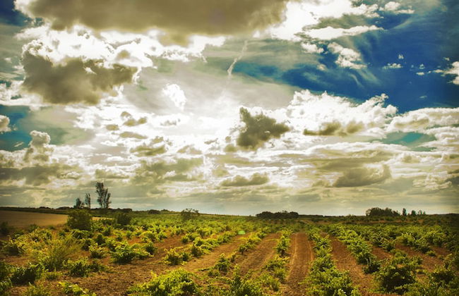 Posada Real del Buen Camino - Foto 50