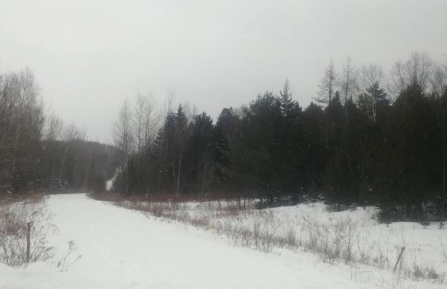 Chalet Newlife007 per Famiglia in una Posizione Molto Tranquilla Nella Regione m - Foto 30