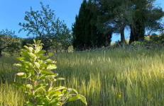 cortijo la alberquilla - Foto 24