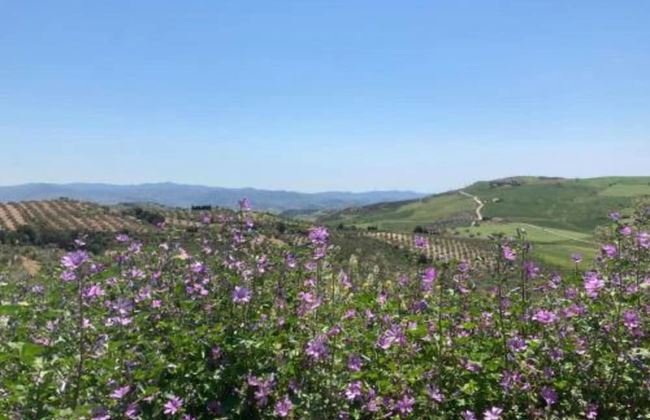 Tranquil Mountain Hideaway - Photo 34