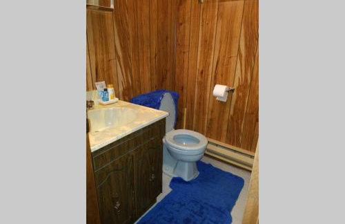 Regent Hilltop Cabin - Photo 29