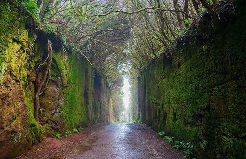 Casa Alexandra - Foto 10