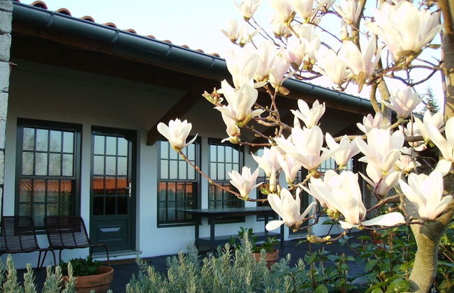 Casa de Santo António de Britiande - Foto 38