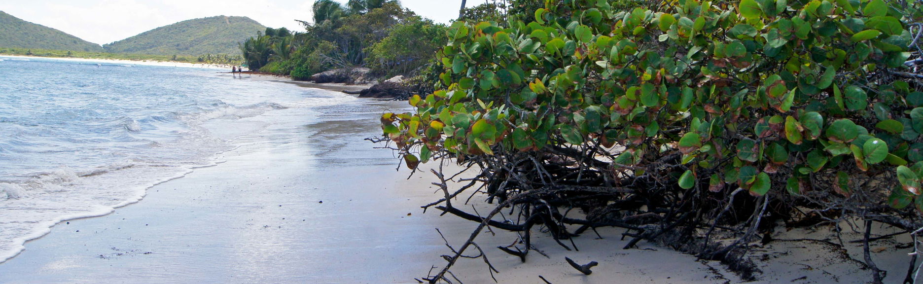 Escursione sull'isola di Culebra in catamarano