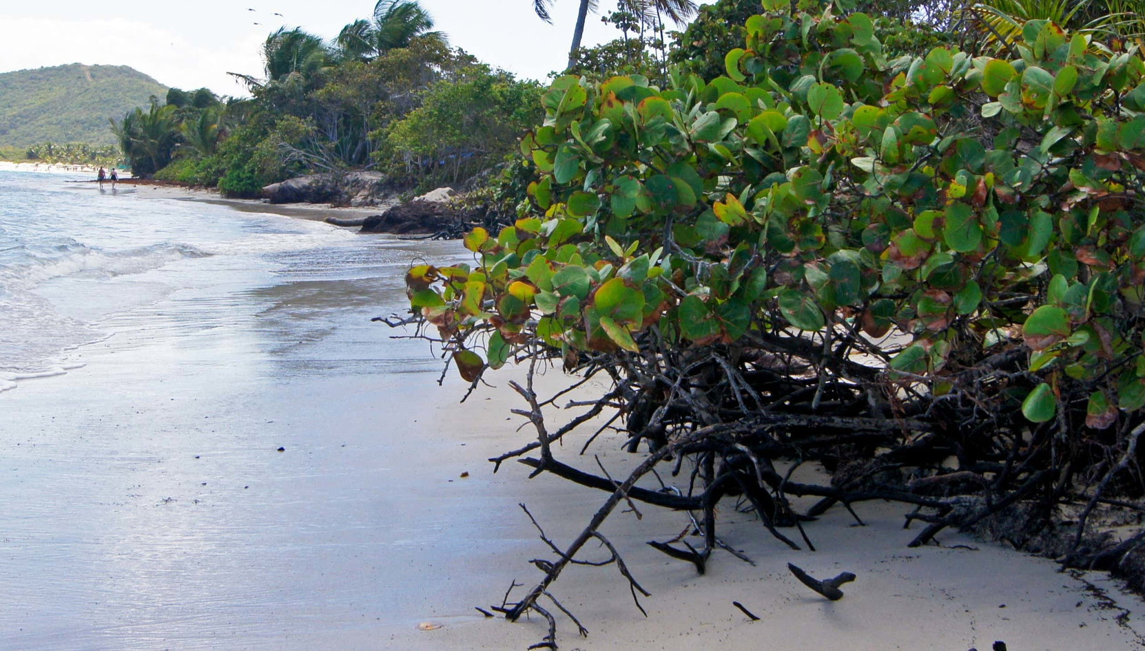 Excursão à ilha Culebra de catamarã - Foto 1, Excursão à ilha Culebra de catamarã