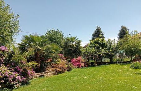 Residenza il Rododendro - Foto 10