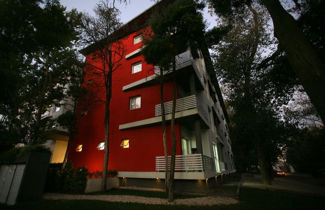 Avutarda de Carilo - Photo 1