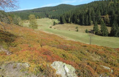 Bergblick - Photo 12