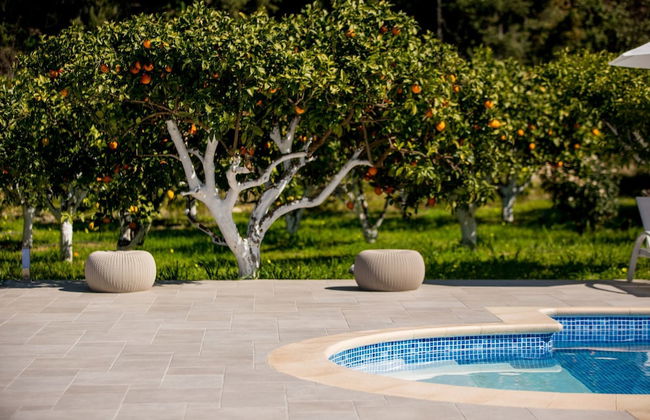 Antigone Estate - Foto 12