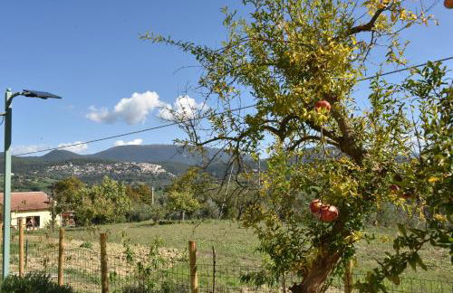 Il Casale Delle Rose - Foto 27