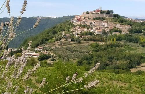 Apartment PARENZANA, little row HOUSE with big green yard in central Istria - Foto 57