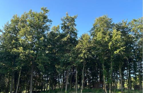 Agriturismo Prato del Re - Photo 68