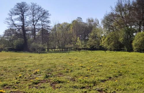 CountryHouse - Foto 15