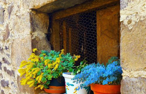 Apartamentos Nevandi - Photo 3