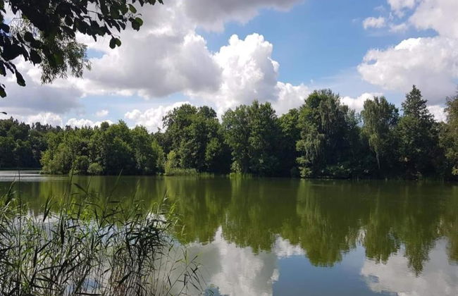 Geraeumige Ferienwohnung in Boddin mit Garten - Foto 28