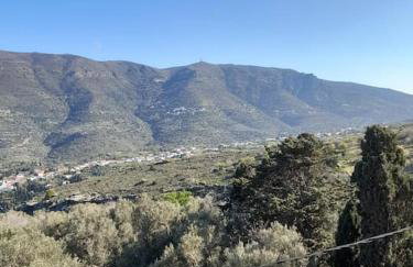 SummerAndros Skalario - Foto 31