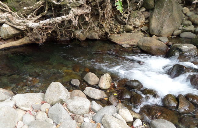 Citrus Creek Plantation - Photo 76