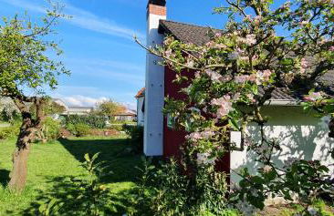 Haus Hinz Fe-Wo an der Ostsee - Foto 28