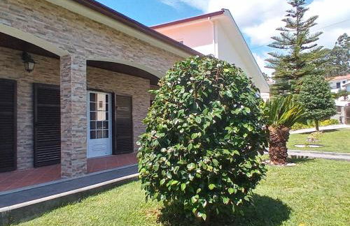 Férias felizes em família/com amigos - Foto 15