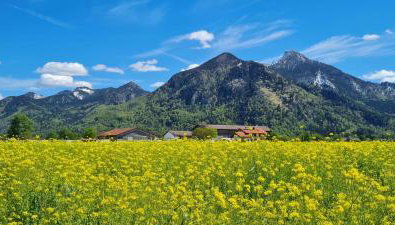 Ferienwohnung 3 - Foto 5