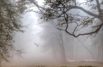 Domek Hrabiny nr 3 - Foto 19