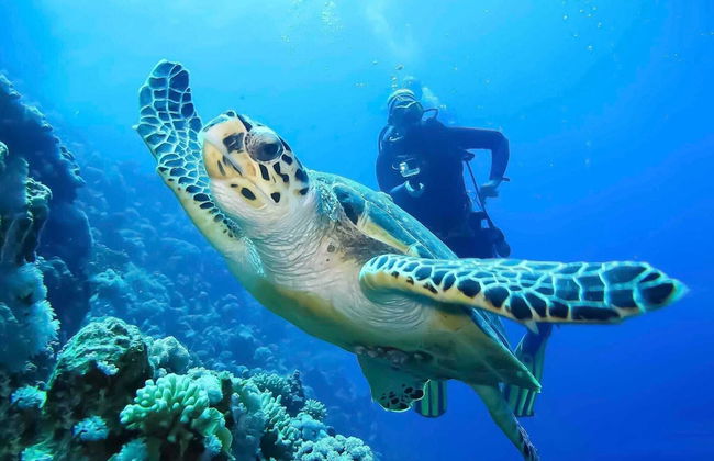 Sunset Villa - Luxury Beachfront Villa with Private Pool by Karula Sand Villas - Foto 21