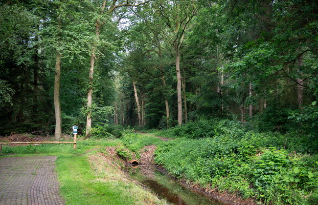 2 bedroom House in Dalfsen with swimming pool and garden - Photo 26