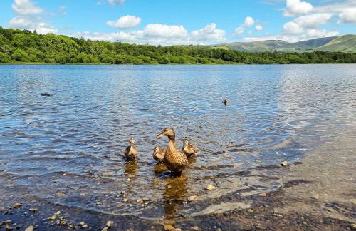 Osprey Cottage - Foto 28